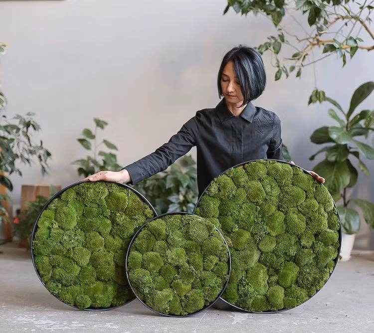 Những bức tranh xanh mát được lấy cảm hứng từ thiên nhiên cây cỏ, như nhắc nhở mỗi chúng ta có ý thức bảo vệ môi trường