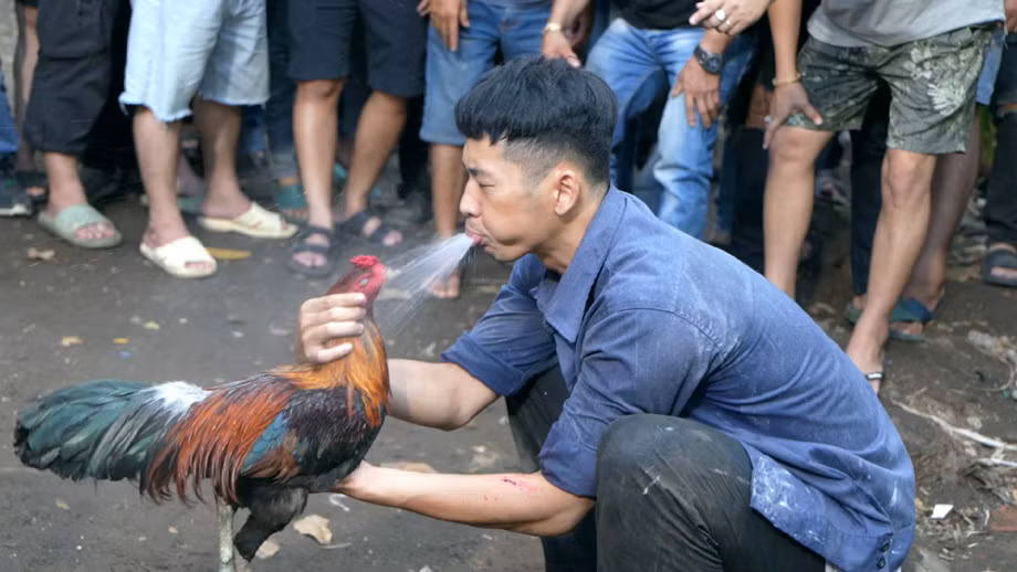 Nhân vật của Tuấn Trần cần phải kiếm số tiền lớn trong thời gian ngắn.