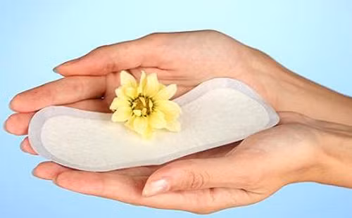 Ngứa điên người vì băng vệ sinh cao cấp ảnh 1