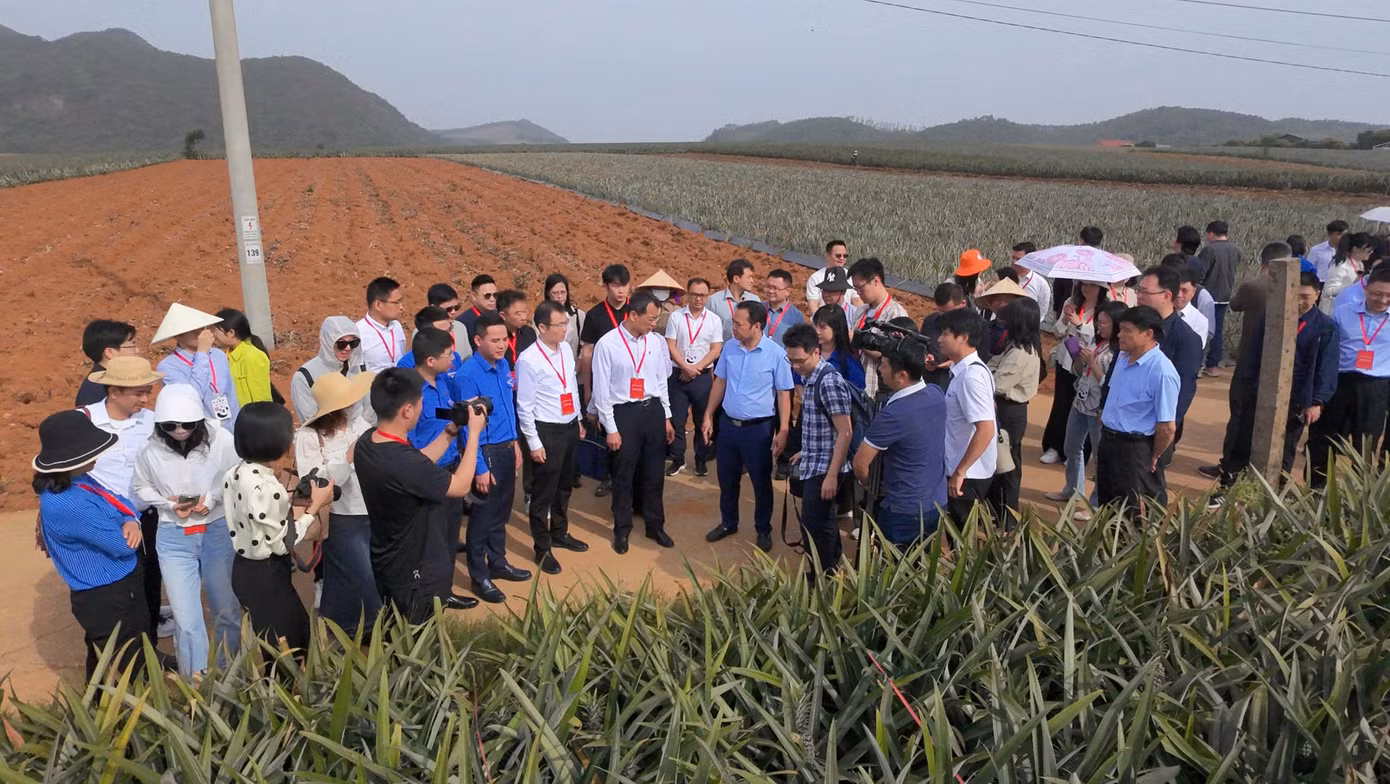Trong khuôn khổ chuyến tham quan, đoàn đại biểu thanh niên Trung Quốc cũng có dịp tìm hiểu về quy trình sản xuất, nhân lực lao động trẻ tại Công ty Cổ phần Thực phẩm xuất khẩu Đồng Giao.