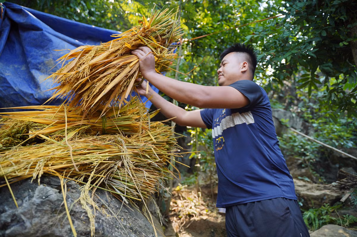 Anh Phạm Công Khải (xã Hợp Thanh, huyện Mỹ Đức) cho biết, từ hôm nước dâng cao anh phải chạy lúa, đồ đạc lên ngọn núi phía sau nhà. "Trên này cao nên an toàn hơn, nhà tôi ngập hết rồi", anh Khải cho biết. Anh Phạm Công Khải (xã Hợp Thanh, huyện Mỹ Đức) cho biết, từ hôm nước dâng cao anh phải chạy lúa, đồ đạc lên ngọn núi phía sau nhà. "Trên này cao nên an toàn hơn, nhà tôi ngập hết rồi", anh Khải cho biết.