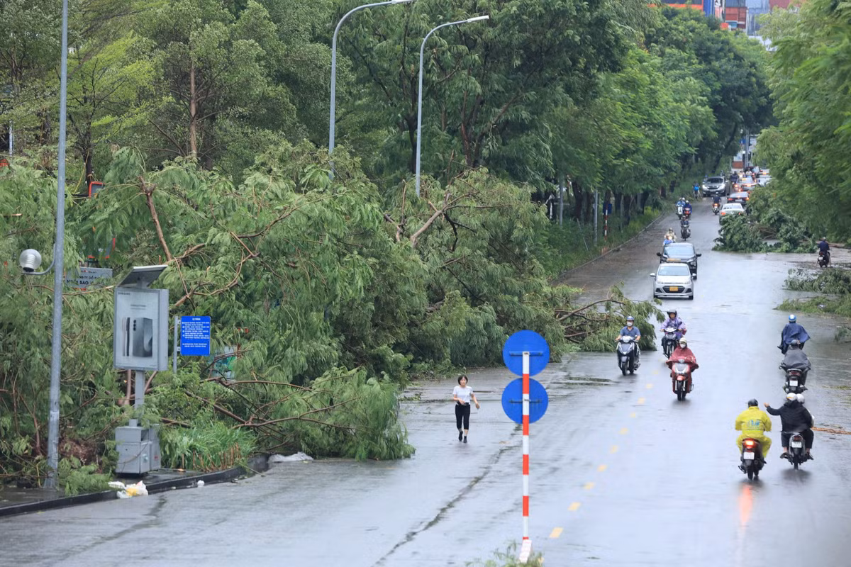 Đêm qua, sau khi quét qua khu vực Đông Bắc Bộ tiến về Tây Bắc Bộ, bão YAGI đã suy yếu thành áp thấp nhiệt đới. Dự báo trong hôm nay, miền Bắc và Bắc Trung Bộ tiếp tục có mưa rào và dông rải rác, trong đó khu vực mưa lớn nhất là vùng núi và trung du Bắc Bộ.
