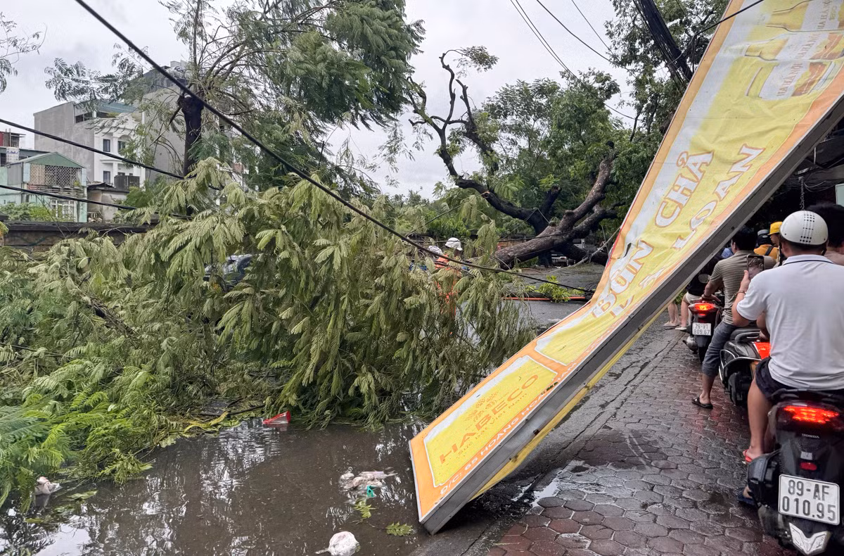 Trên đường Hoàng Hoa Thám, cây cối đổ la liệt chắn ngang đường, cùng với việc các bảng hiệu bị gió giật đổ khiến giao thông gặp nhiều khó khăn.