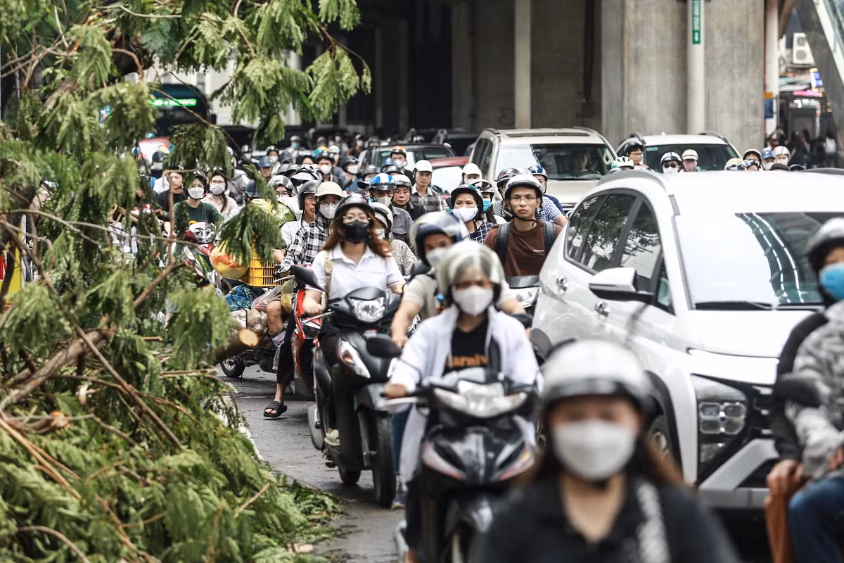 Đường Hồ Tùng Mậu, nhiều cây xanh trên vỉa hè chưa được dọn gây cản trở lối đi.