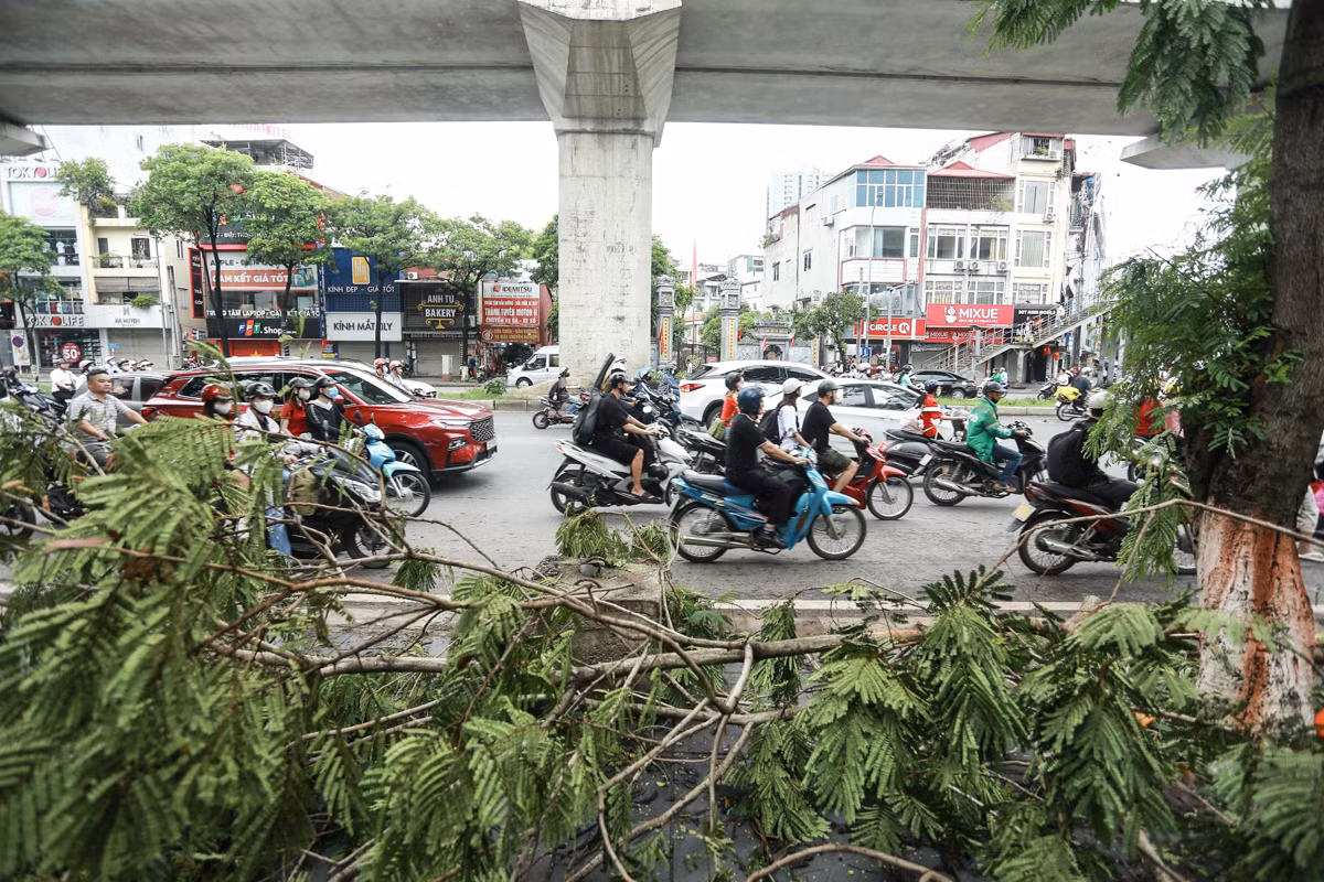Ngày đi làm đầu tiên sau cơn bão số 3, nhiều tuyến đường tại Hà Nội vẫn còn ngổn ngang cây đổ, gây cản trở cho việc đi lại của người dân.