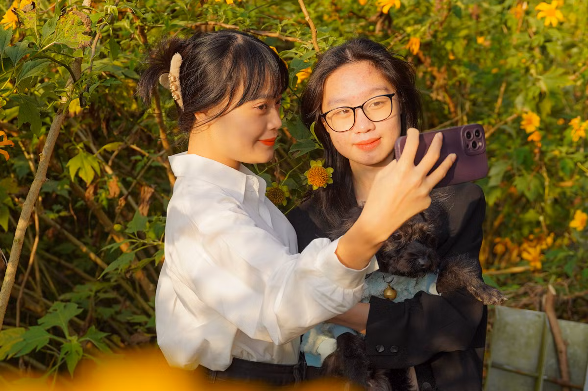 Chị Yến và em gái từ Vĩnh Phúc đã đến vườn quốc gia Ba Vì để chụp ảnh với hoa dã quỳ. Tối qua, hai chị em đã nghỉ lại tại một khách sạn dưới chân núi để hôm nay kịp đi sớm. "Tôi xem các video về hoa dã quỳ trên mạng và rất thích nên quyết đi săn bằng được", chị Yến chia sẻ.