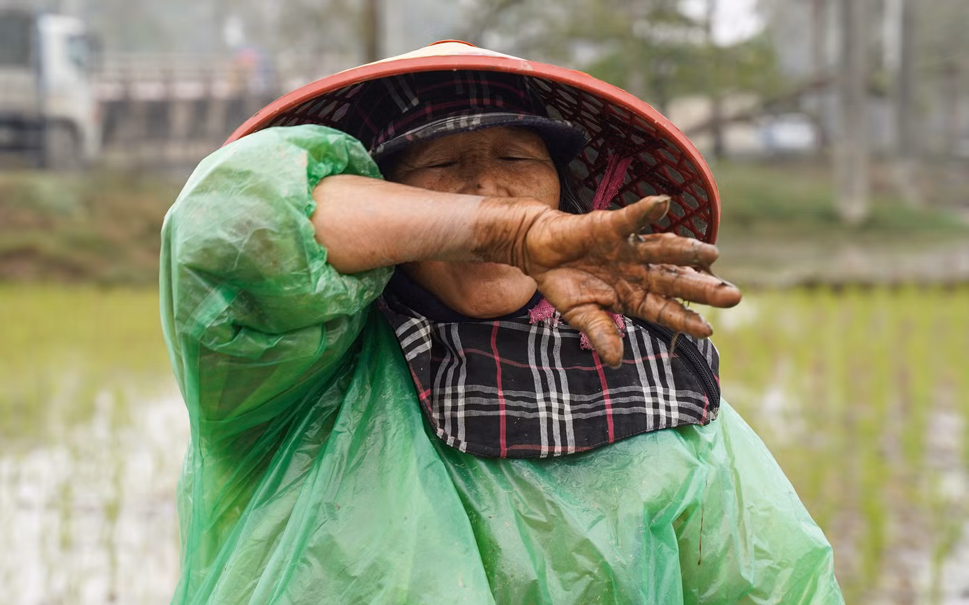Sau nhiều tiếng làm việc liên tục, nông dân cũng thấm mệt và lau giọt mồ hôi dù thời tiết lạnh.