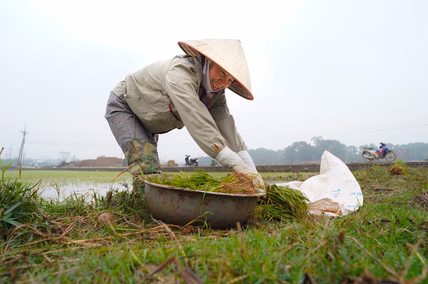 "Cuộc sống làm nông bao năm nay vẫn vậy, cứ đến mùa lại đi cấy dù mưa hay nắng, những công việc đồng áng vẫn diễn ra theo chu kỳ tự nhiên. Giờ có máy móc, chúng tôi cũng đỡ vất vả hơn trước, giúp tiết kiệm thời gian và công sức", chị Hoa chia sẻ.