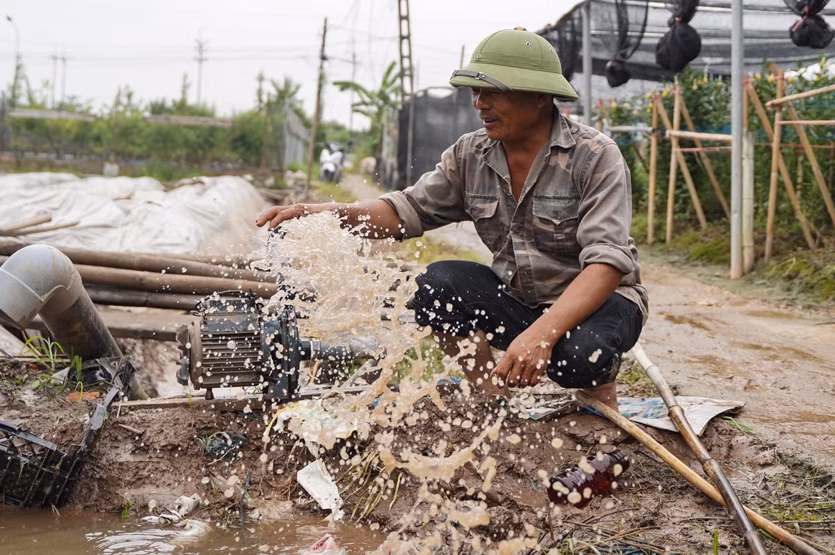 Nhiều người trồng hoa phải túc trực từ sáng để xây bờ, xả nước, cứu những vườn hoa khỏi cảnh ngập úng quá lâu. "Từ đêm hôm qua tôi đã bơm nước đến hơn 9 giờ hôm nay mới bớt đi phần nào. Hoa thì cũng mất chết rồi, không thể cứu được", ông Nguyễn Khắc Lộc (Làng hoa Tây Tựu) chia sẻ.