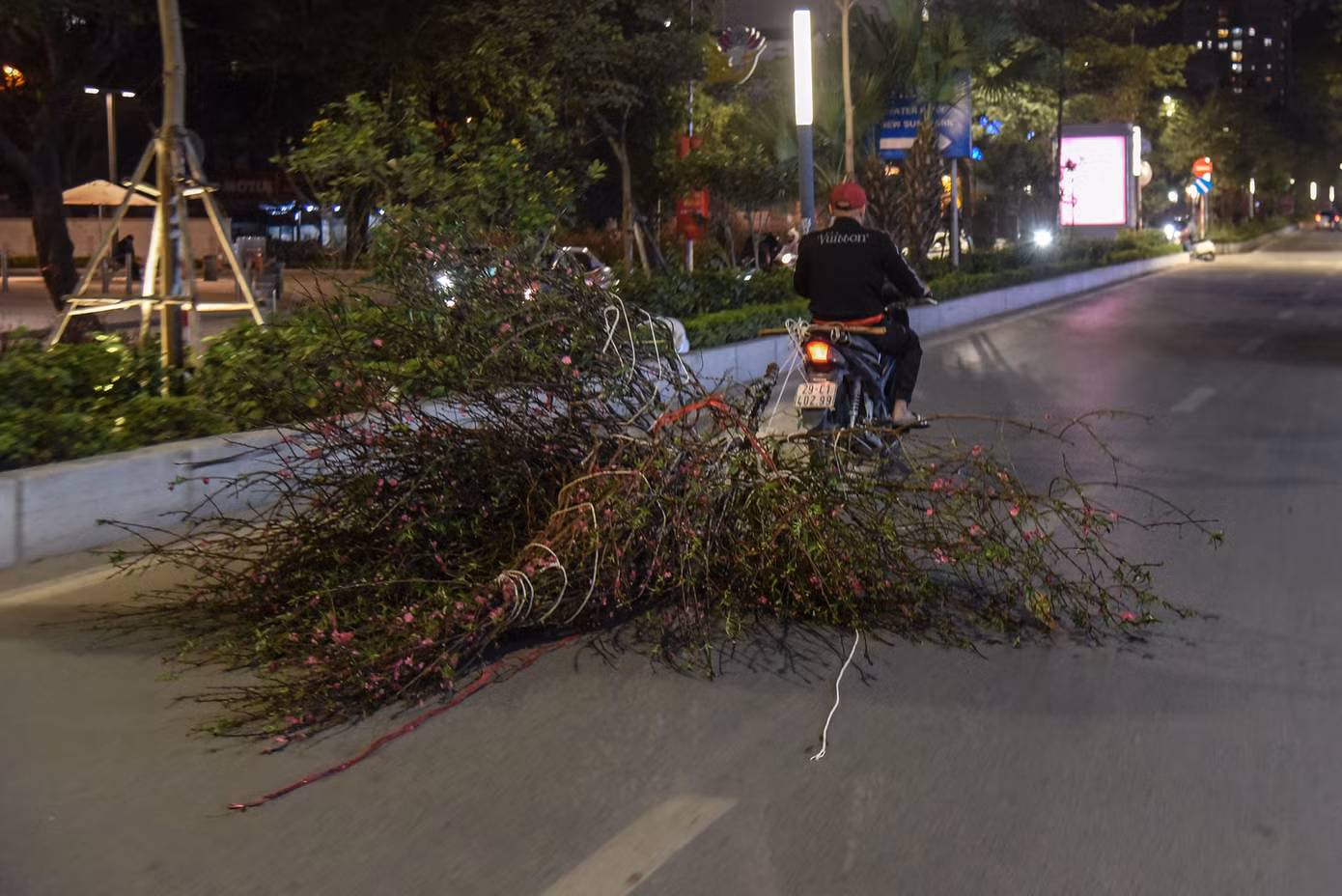 Những cành đào không bán hết được tiểu thương chở để tìm chỗ vứt bỏ.