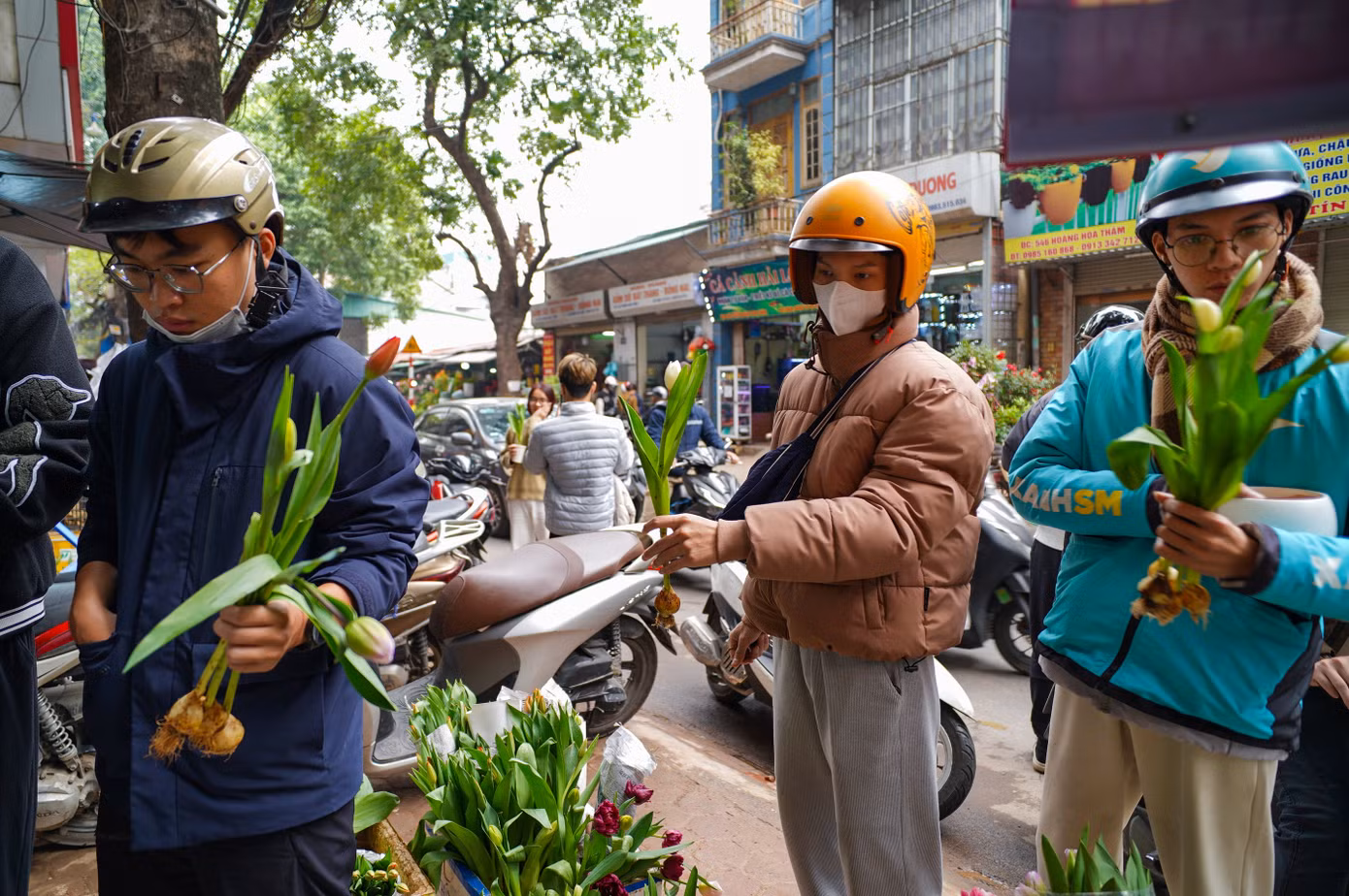 Không chỉ hoa sáp hay hoa hồng, năm nay hoa tulip trồng trong chậu trở thành xu hướng được giới trẻ yêu thích, giá từ 25.000 - 30.000 đồng/bông. Tại nhiều cửa hàng, không ít bạn nam xếp hàng dài để lựa chọn loài hoa đặc biệt này.