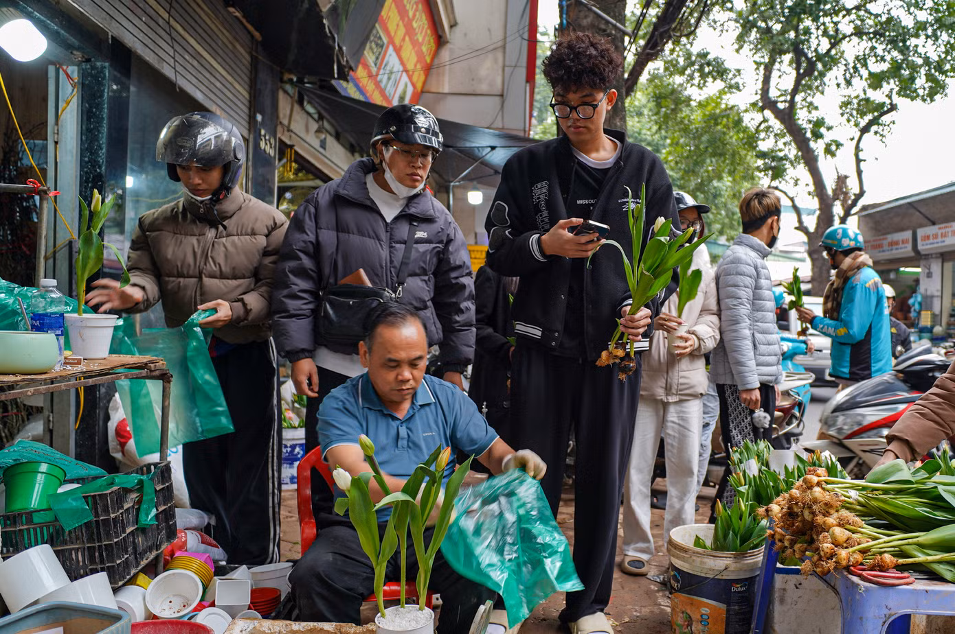 Không chỉ hoa sáp hay hoa hồng, năm nay hoa tulip trồng trong chậu trở thành xu hướng được giới trẻ yêu thích, giá từ 25.000 - 30.000 đồng/bông. Tại nhiều cửa hàng, không ít bạn nam xếp hàng dài để lựa chọn loài hoa đặc biệt này.