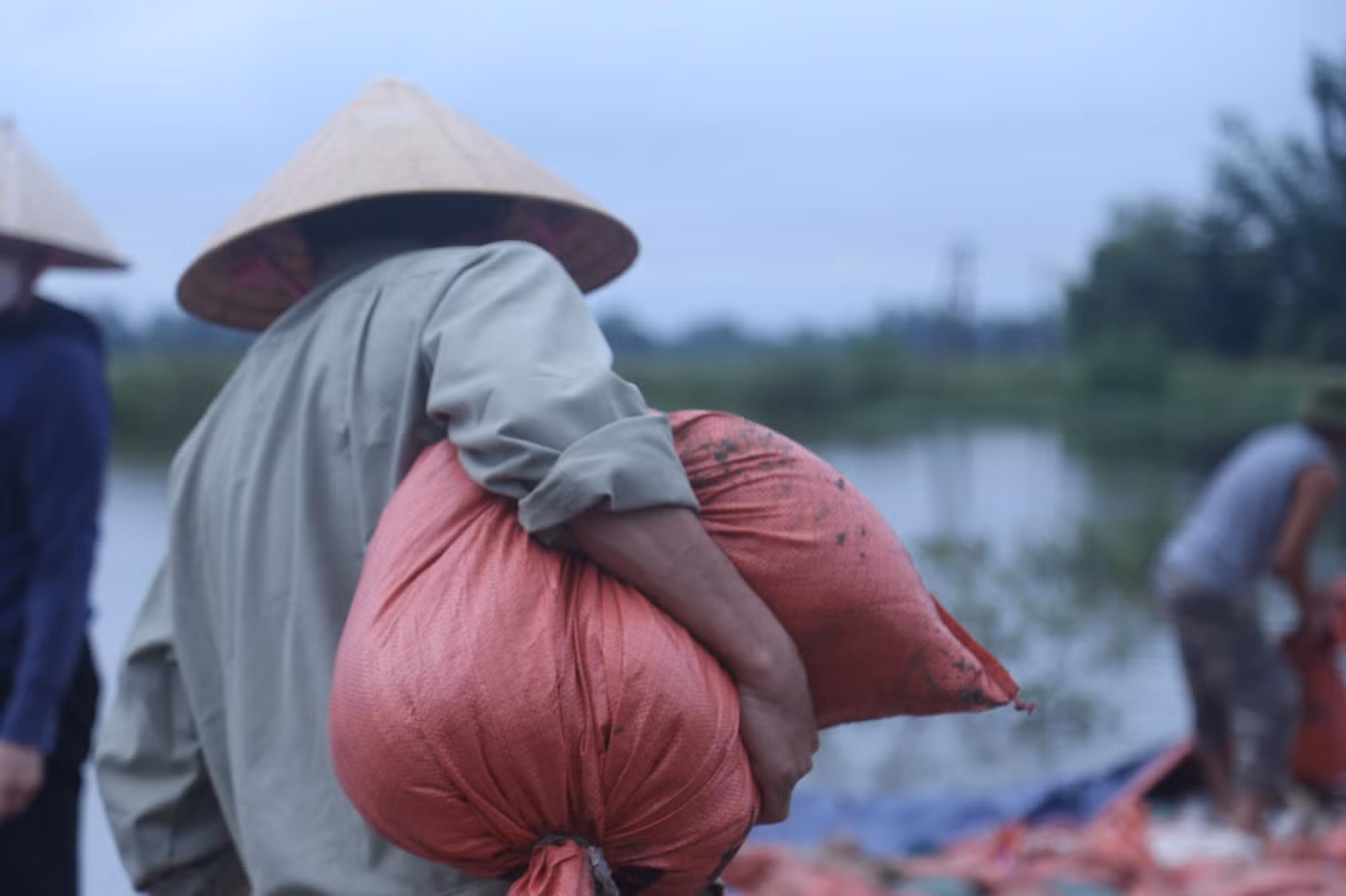 Theo thống kê sơ bộ của xã Hưng Đạo, sự cố vỡ đê kênh thấp đã gây thiệt hại 8ha cá vụ 3 và 8,5ha chuyên cá.