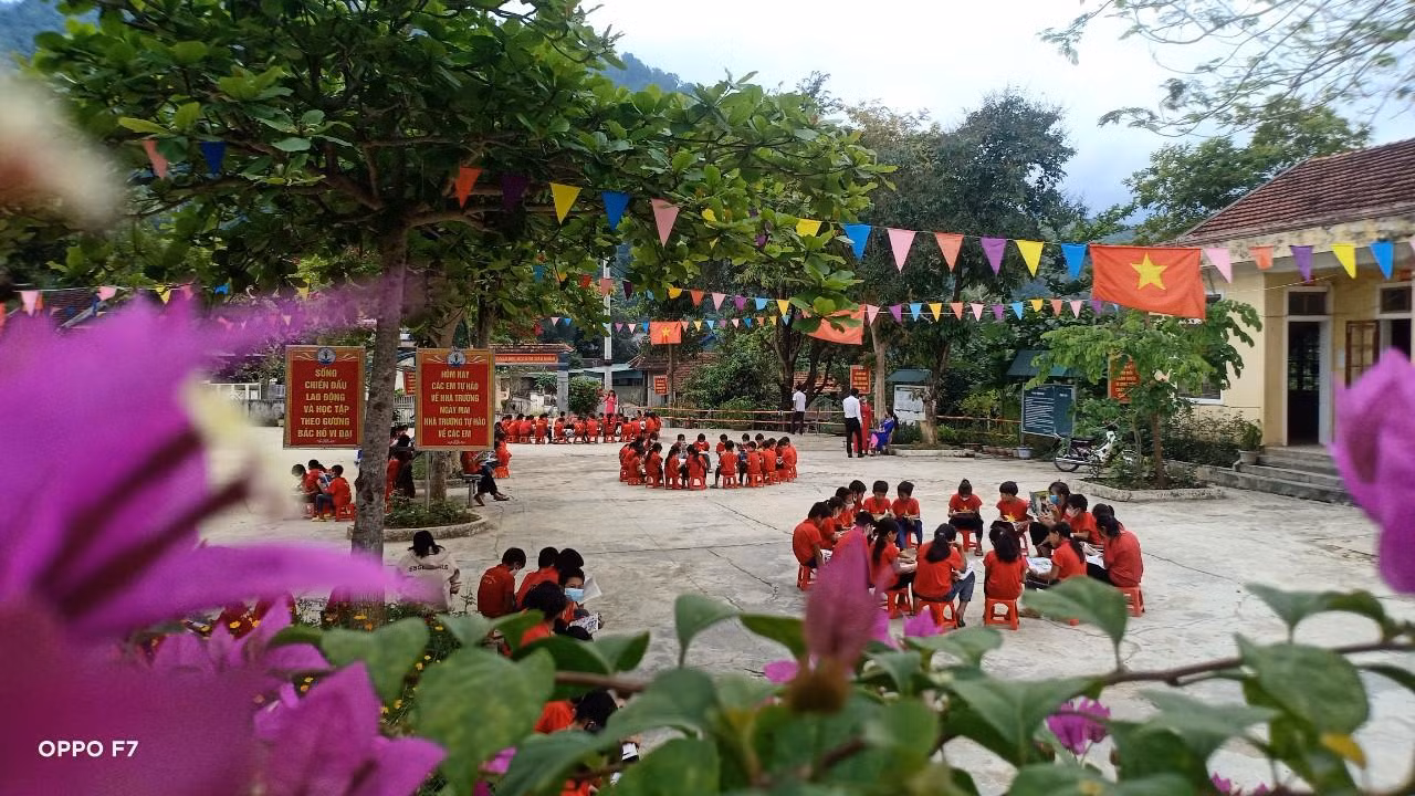 Học sinh trường Tiểu học Hữu Lập ngồi theo nhóm miệt mài đọc sách.