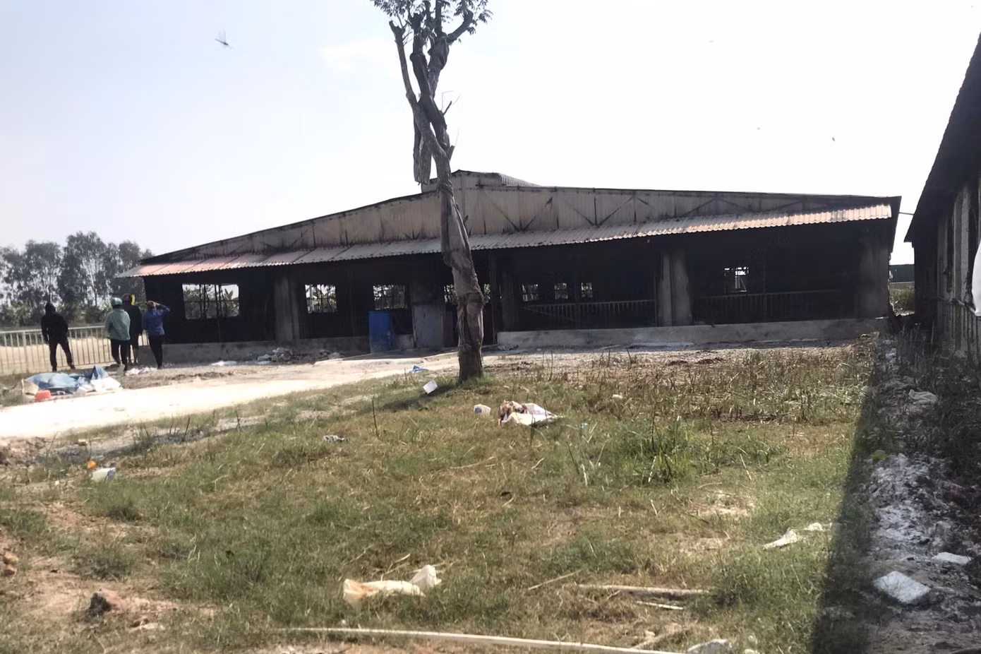 Ghi nhận tại trang trại của gia đình ông Hoàng Văn Thịnh (SN 1972, trú tại xã Đô Thành, huyện Yên Thành, Nghệ An) nơi xảy ra vụ hỏa hoạn kinh hoàng thiêu chết hơn 1.000 con lợn, khung cảnh ngổn ngang, tan hoang.