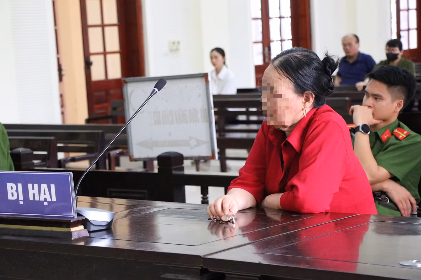 Bà T. xin tòa "giảm hết cấp", không phạt tù Dũng