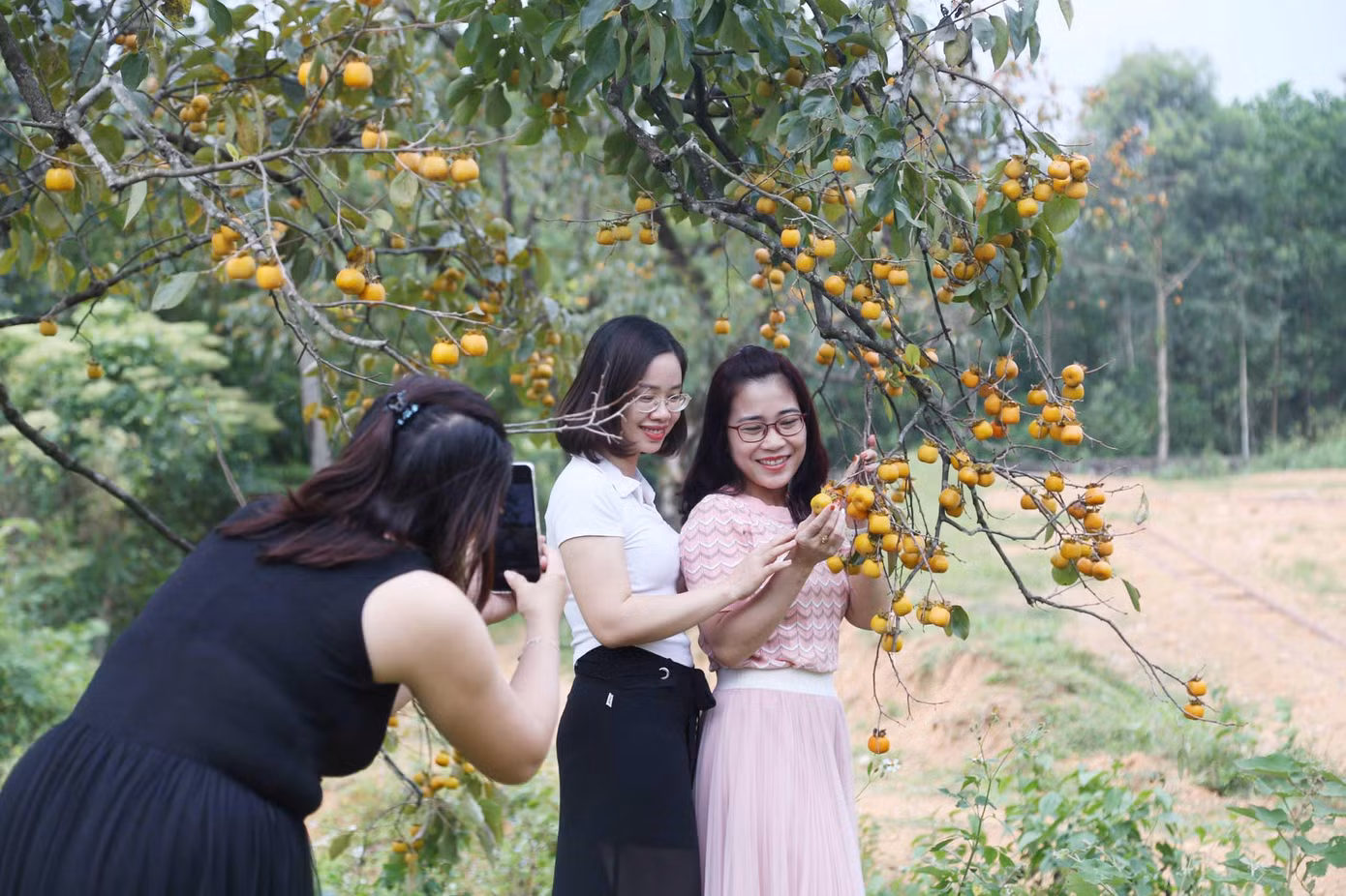 Không khí thanh bình, cảnh sắc tuyệt đẹp khiến nơi đây trở thành một điểm thu hút khách đến check-in.