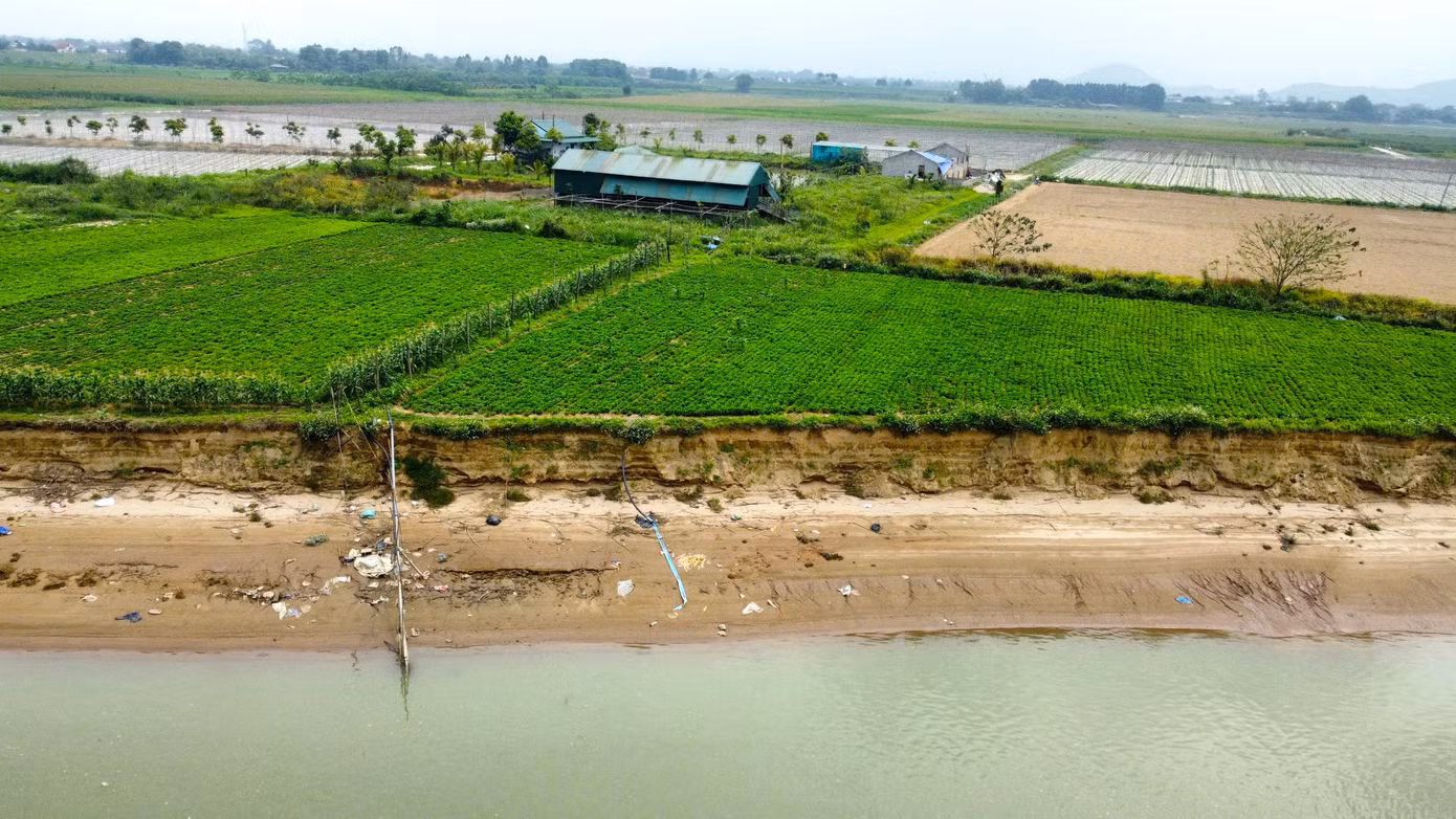 Ông Hồ Văn Chiến - Phó Chủ tịch UBND xã Long Xá cho biết, do ảnh hưởng của lũ lụt, tình trạng sạt lở bờ sông Lam diễn ra ngày càng phức tạp. Hàng chục héc ta đất sản xuất của người dân đã bị cuốn trôi.