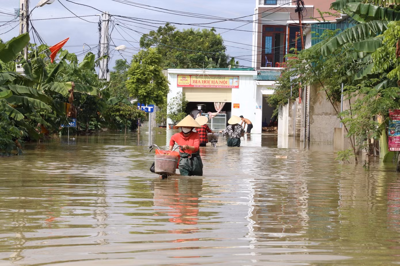 Mưa gây ngập lụt ở huyện Quỳnh Lưu Mưa gây ngập lụt ở huyện Quỳnh Lưu