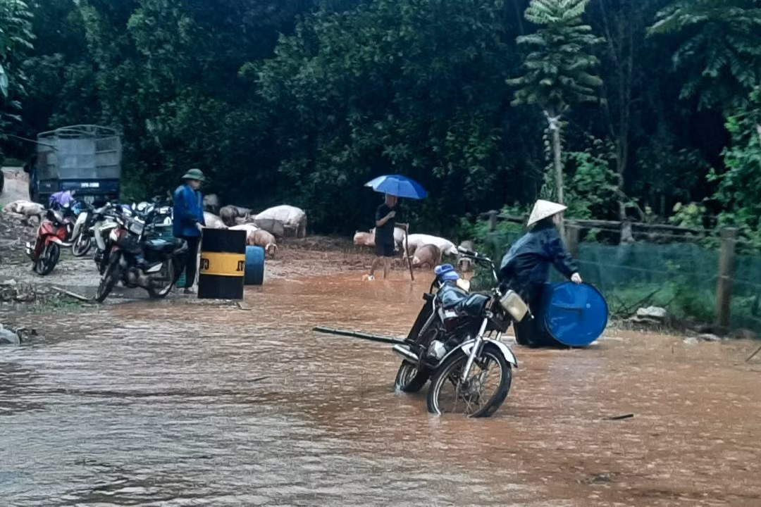 Tại xã Yên Hợp, huyện Quỳ Hợp, từ 1h sáng 27/9, mưa to kèm thủy điện xả lũ khiến trang trại của gia đình chị Đinh Thị Thỏa (xóm Trọng Cánh) bị ngập. Hàng trăm con lợn, dê, gà của trang trại được lực lượng chức năng và người dân giúp đỡ sơ tán.