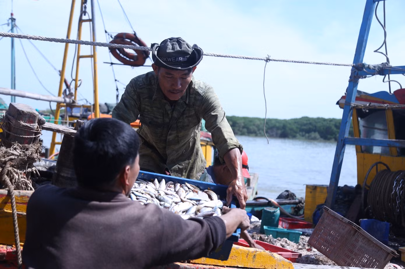 Ngư dân Nguyễn Văn Danh (47 tuổi, trú xã Diễn Ngọc) cho biết, tàu của ông ra khơi chuyến đầu năm trong ngày mùng 5 Tết, đến nay đã là chuyến thứ 5. Hải sản đánh bắt được đa dạng như tôm, mực, cá cơm, cá trích,…, thu về hàng chục triệu đồng. “Những chuyến biển đầu năm, chúng tôi không đặt nặng vấn đề sản lượng đánh bắt, chỉ mong chuyến ra khơi diễn ra thuận lợi. Thời điểm này, hải sản bán được giá nên ai cũng phấn khởi”, ông Danh chia sẻ.