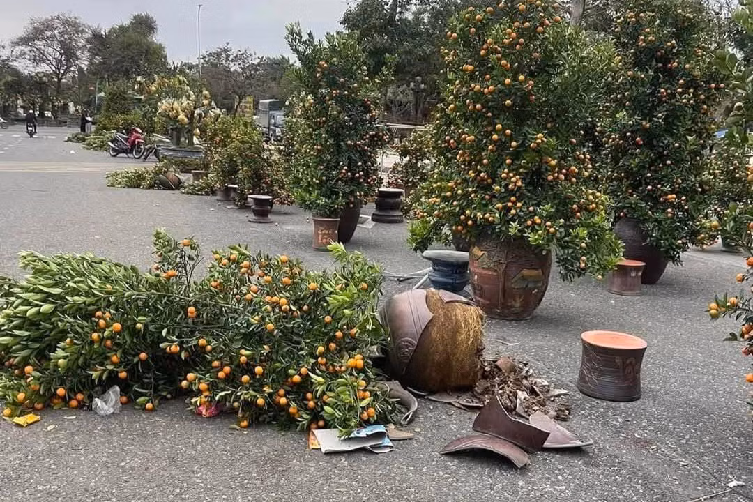 Thời tiết mưa lớn khiến các tiểu thương như đang ngồi trên đống lửa vì lo "mất Tết".