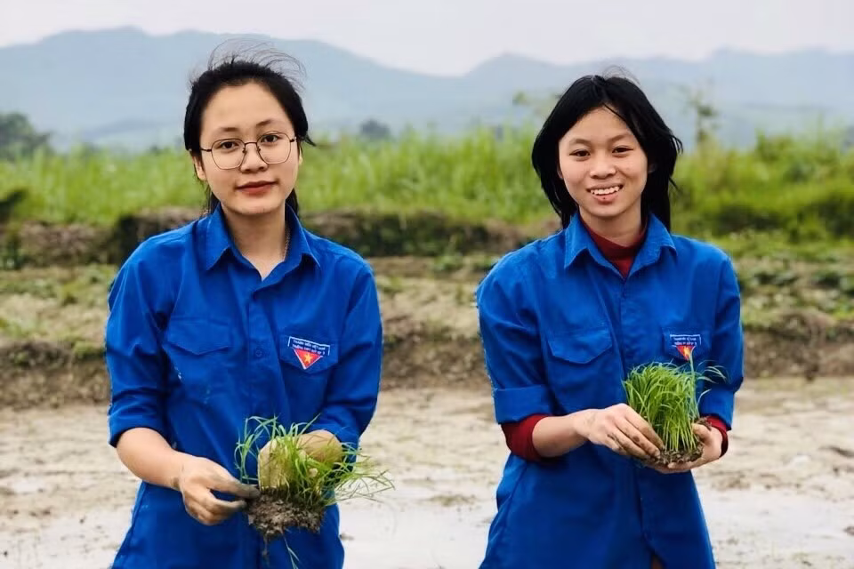 Hoạt động thể hiện tinh thần trách nhiệm, xung kích tình nguyện của tuổi trẻ