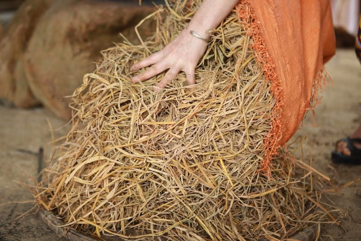 Bánh chưng đen là loại bánh đặc biệt mang nét riêng của người Thái Tày Thanh, nguyên liệu chính chỉ là gạo nếp trắng và được nhuộm đen bằng tro rơm. Cứ bắt đầu vào vụ mùa gặt cuối cùng của năm, người Thái đen lại tích một ít rơm khô để ngày cận Tết gói bánh chưng. Rơm được bà con cất trữ ở đây phải từ cây lúa nếp do chính tay người trong gia đình mình cắt, sau khi rửa sạch phơi khô và cất lên giàn cao ở trong nhà.