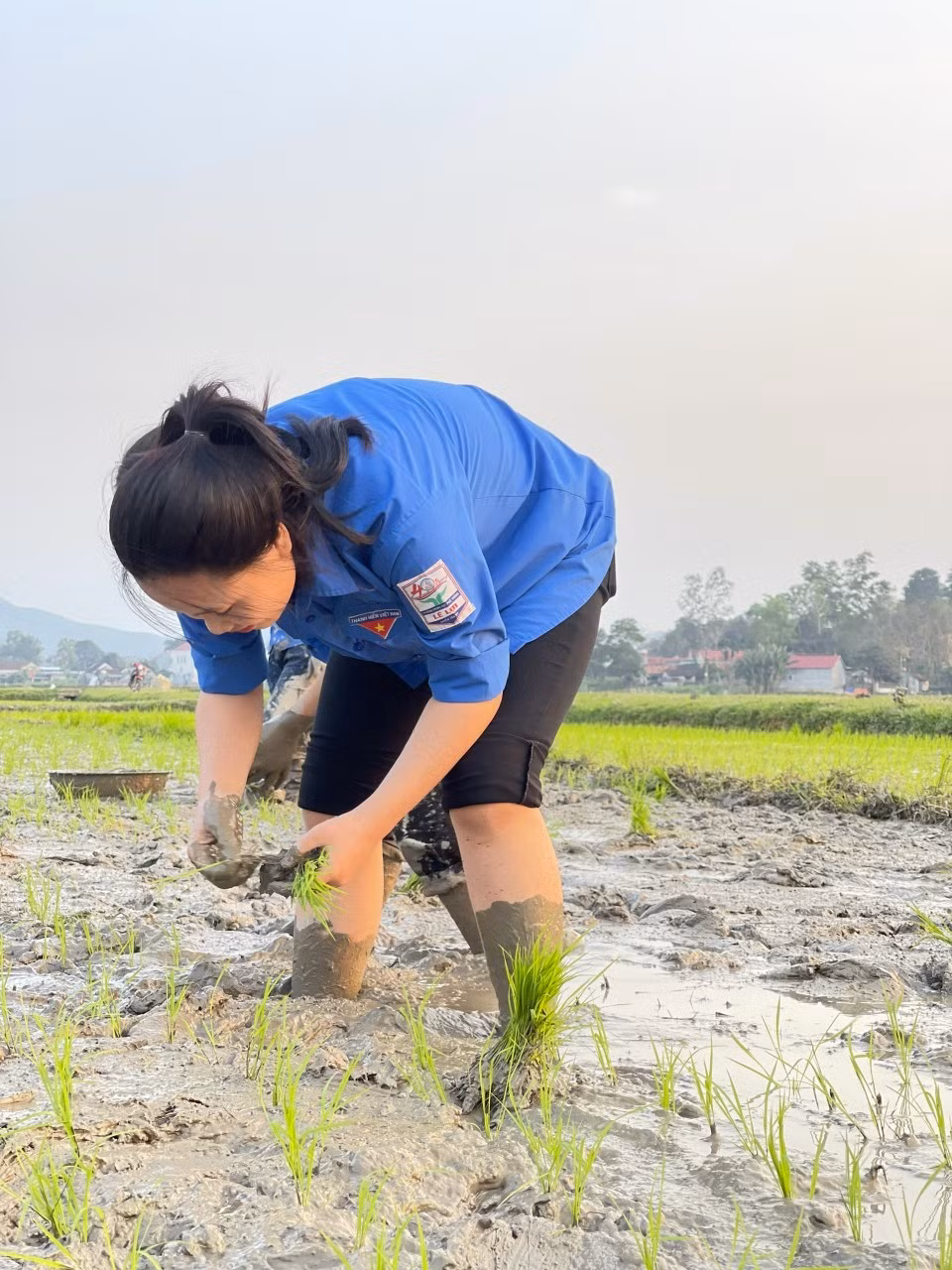 Trường là con thứ 2 trong một gia đình nghèo ở xóm Bích Thái, xã Nghĩa Thái. Mẹ mất sớm do bệnh ung thư. Ông Nguyễn Văn Liên (bố Trường) thường xuyên ốm đau. Thấu hiểu hoàn cảnh khó khăn của Trường, đoàn viên thanh niên xã Nghĩa Thái đã tình nguyện giúp gia đình cấy lúa vụ Đông – Xuân.