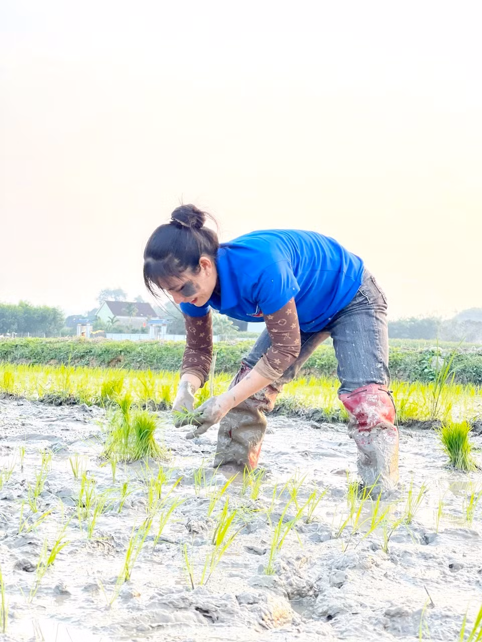 Dù công việc mệt nhọc, chân lấm tay bùn nhưng các bạn trẻ vẫn luôn rạng rỡ vì làm được việc ý nghĩa.