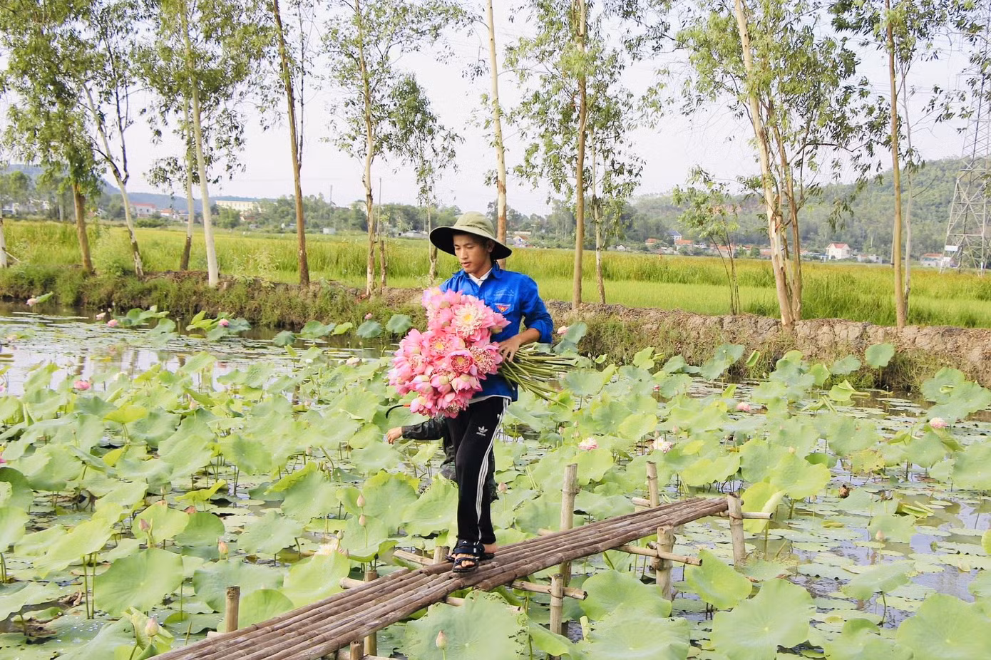 Đầm sen của chàng trai Nguyễn Văn Hòe