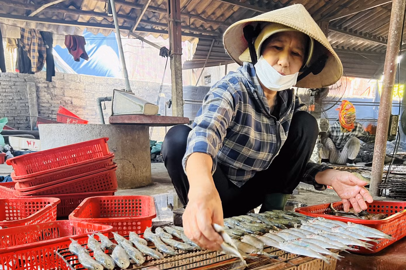 Trước đây, để lấy được số lượng cá làm trong 1 ngày, các chủ lò phải dậy từ 3 - 4 giờ sáng, đến bãi biển trên địa bàn tỉnh thu mua cá. Ngày nay, để chủ động nguồn nguyên liệu, nhiều chủ lò mạnh dạn đầu tư kho bảo quản lạnh ngay tại nhà. Cá được thu mua lượng lớn từ các tàu đánh bắt xa bờ, đem về kho bảo quản để nướng dần.