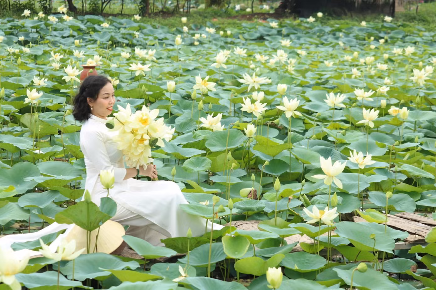 Đây là lần thứ 3, chị Nguyễn Phương Anh (trú TP Hà Nội) về thăm quê Bác. Cảm xúc vẫn vẹn nguyên xúc động, bồi hồi. “Về quê Bác, thích nhất là được đi trên con đường hai bên là những đầm sen xanh mướt, được hòa mình trong cảnh sắc thiên nhiên thơm ngát hương sen. Về đây, tôi cảm nhận rõ hơn sự vĩ đại của Chủ tịch Hồ Chí Minh”, chị Phương Anh bày tỏ.