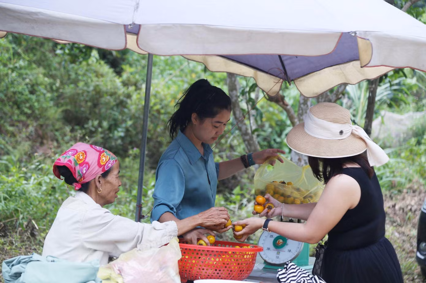 Sau khi trải nghiệm tham quan, chụp ảnh, du khách có nhu cầu mua hồng sẽ mua ngay điểm bán vé vào cổng