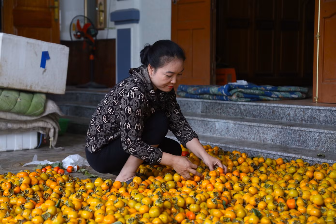 Chị Nguyễn Thị Sâm (một thương lái thu mua hồng ở xã Nam Anh) cho biết, mùa thu hoạch hồng thường bắt đầu từ tháng 7 đến giữa tháng 10 âm lịch. Trung bình, mỗi ngày chị thu mua hơn 2 tấn hồng các loại. Sau khi mua về, quả hồng sẽ được phân loại, đem ủ hoặc ngâm với nước giếng khoang trong 5 ngày rồi mới được bán ra thị trường.