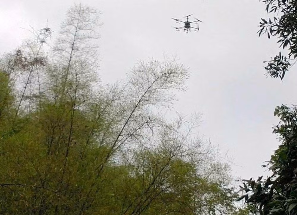 Dùng flycam để phun thuốc diệt trừ châu chấu