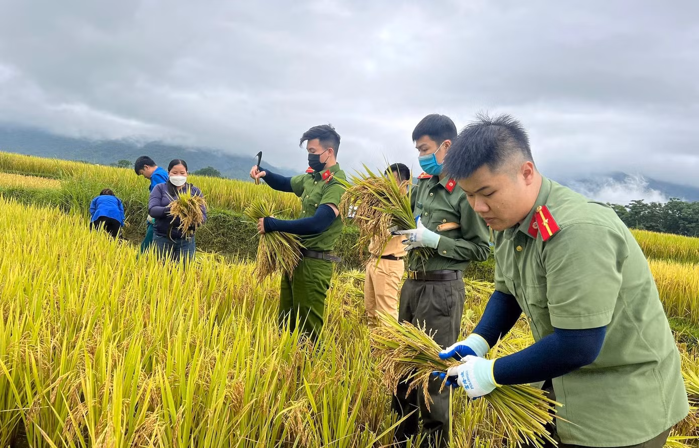 Dù thấm mệt, nhưng trên gương mặt ai cũng rạng ngời niềm vui