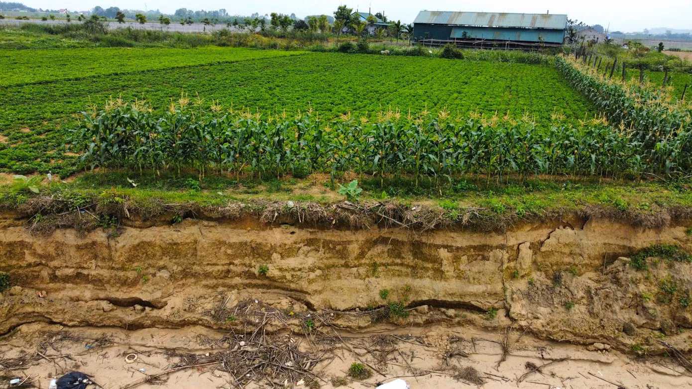 Chính quyền địa phương cho biết, khu vực sạt lở có chiều dài gần 1km, vào sâu khoảng 30 mét so với trước đây.