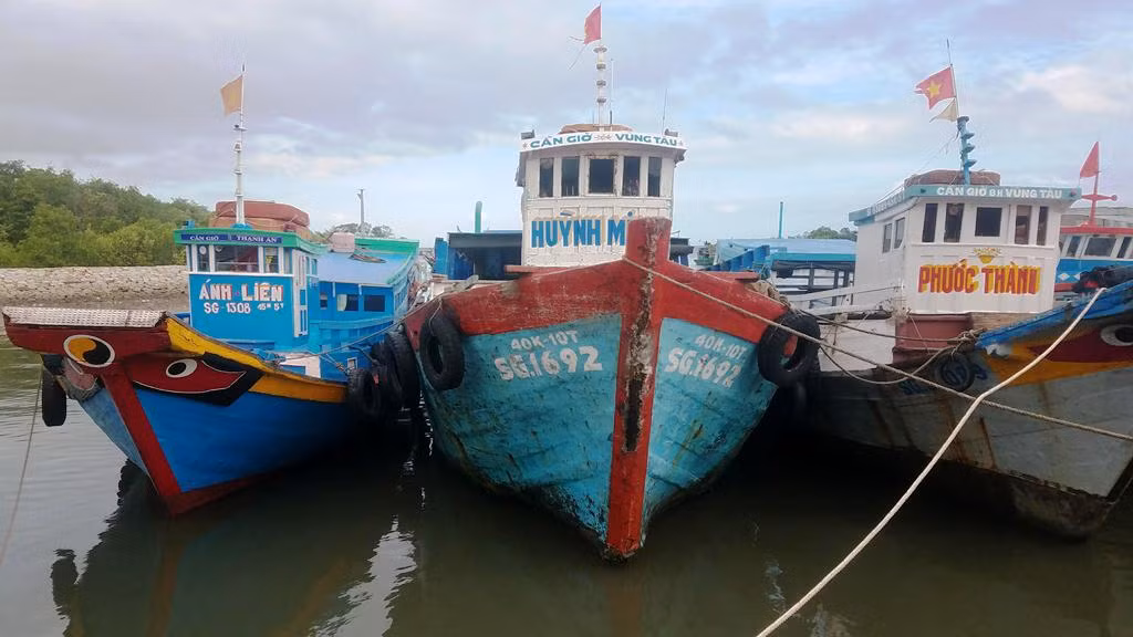 TPHCM cho phép tàu thuyền ra khơi sau bão Tembin ảnh 3