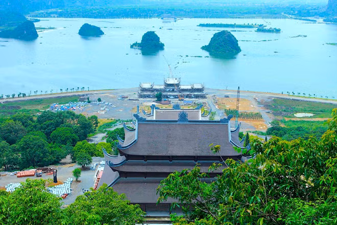 Ðến chùa Tam Chúc kể về cây bồ đề thiêng từ đất Phật ảnh 1