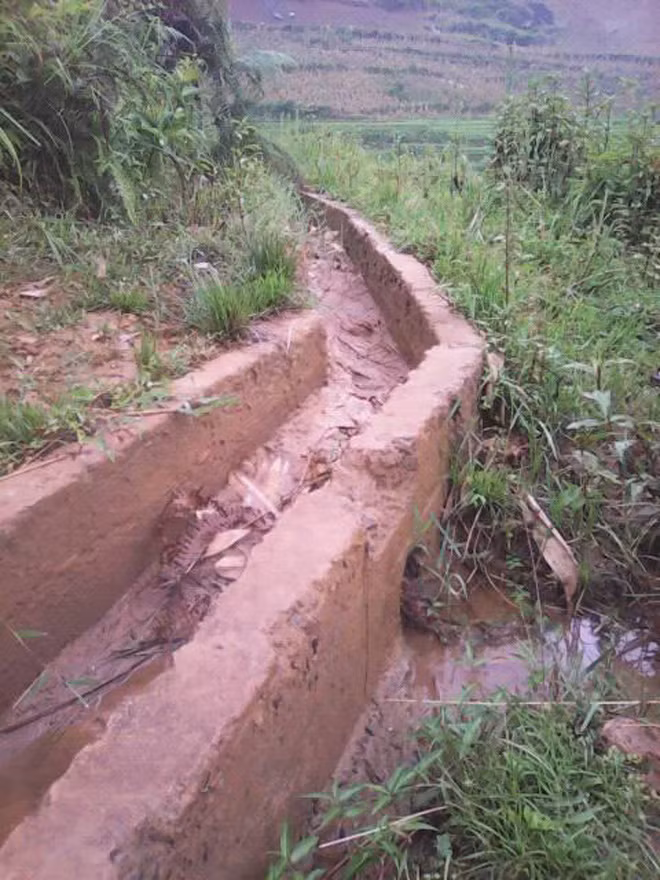 'Bị' tài trợ thoát nghèo ảnh 2