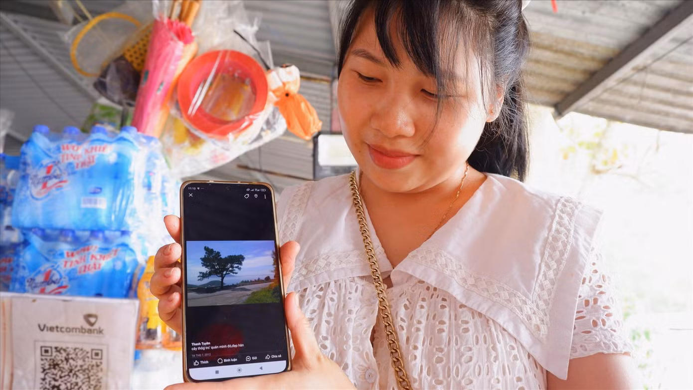 Thanh Tuyền và bức ảnh chụp cây thông “cô đơn” lúc còn xanh tươi. Ảnh: Nguyễn Thành