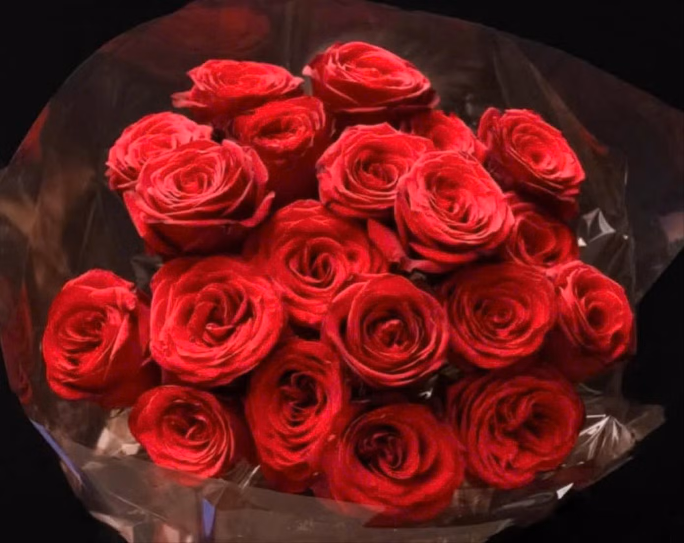 Bó hoa hồng nhập ngoại đắt đỏ được ưa chuộng dịp Valentine năm nay.