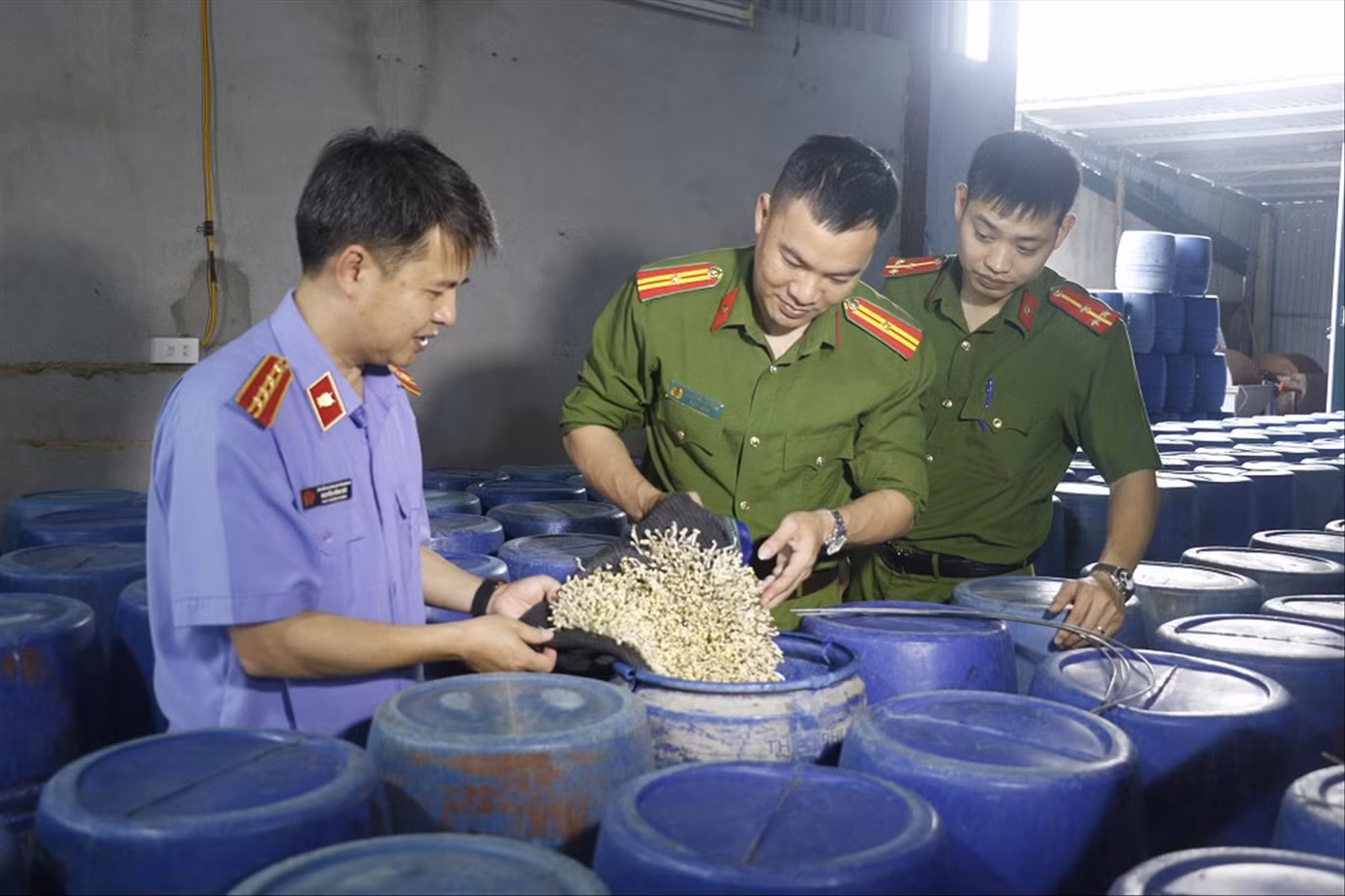 Lực lượng chức năng kiểm tra cơ sở sản xuất giá đỗ ngâm hóa chất ở thành phố Vinh, Nghệ An