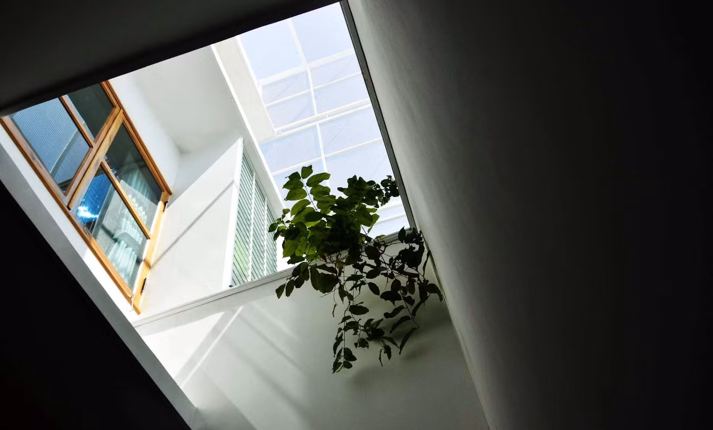 Nhờ khoảng lùi phía trước và phía sau, ngôi nhà giống như tách biệt với đường phố để chìm đắm trong sự yên tĩnh và không gian của cây xanh.