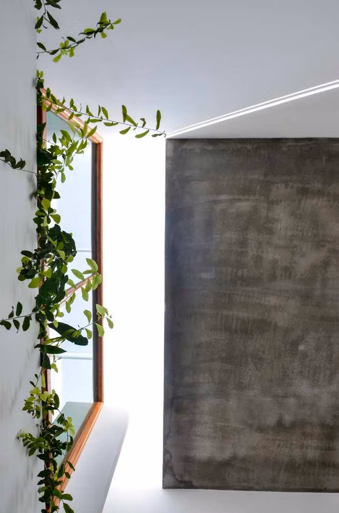 Cây xanh được bố trí ở mọi không gian trong nhà, để con người đến gần với thiên nhiên hơn.