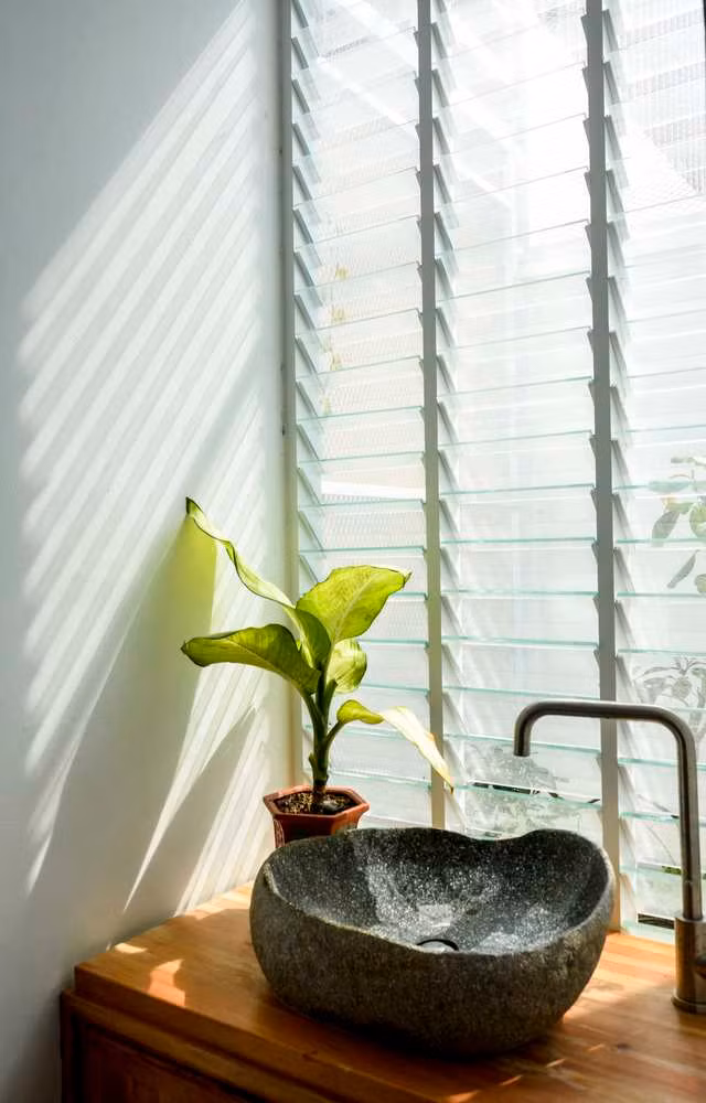 Cây xanh được bố trí ở mọi không gian trong nhà, để con người đến gần với thiên nhiên hơn.