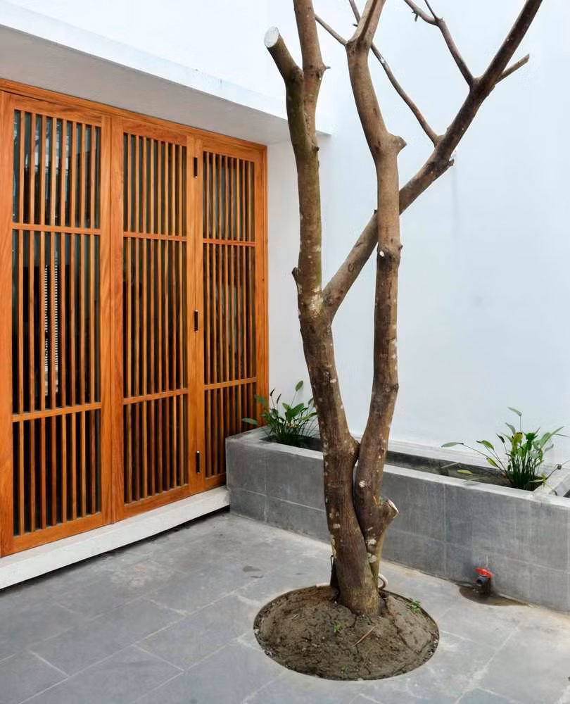 Theo nhóm thiết kế, thông qua ngôi nhà này, họ mong muốn gửi gắm đến thông điệp về sự giản đơn và tĩnh lặng với cuộc sống.