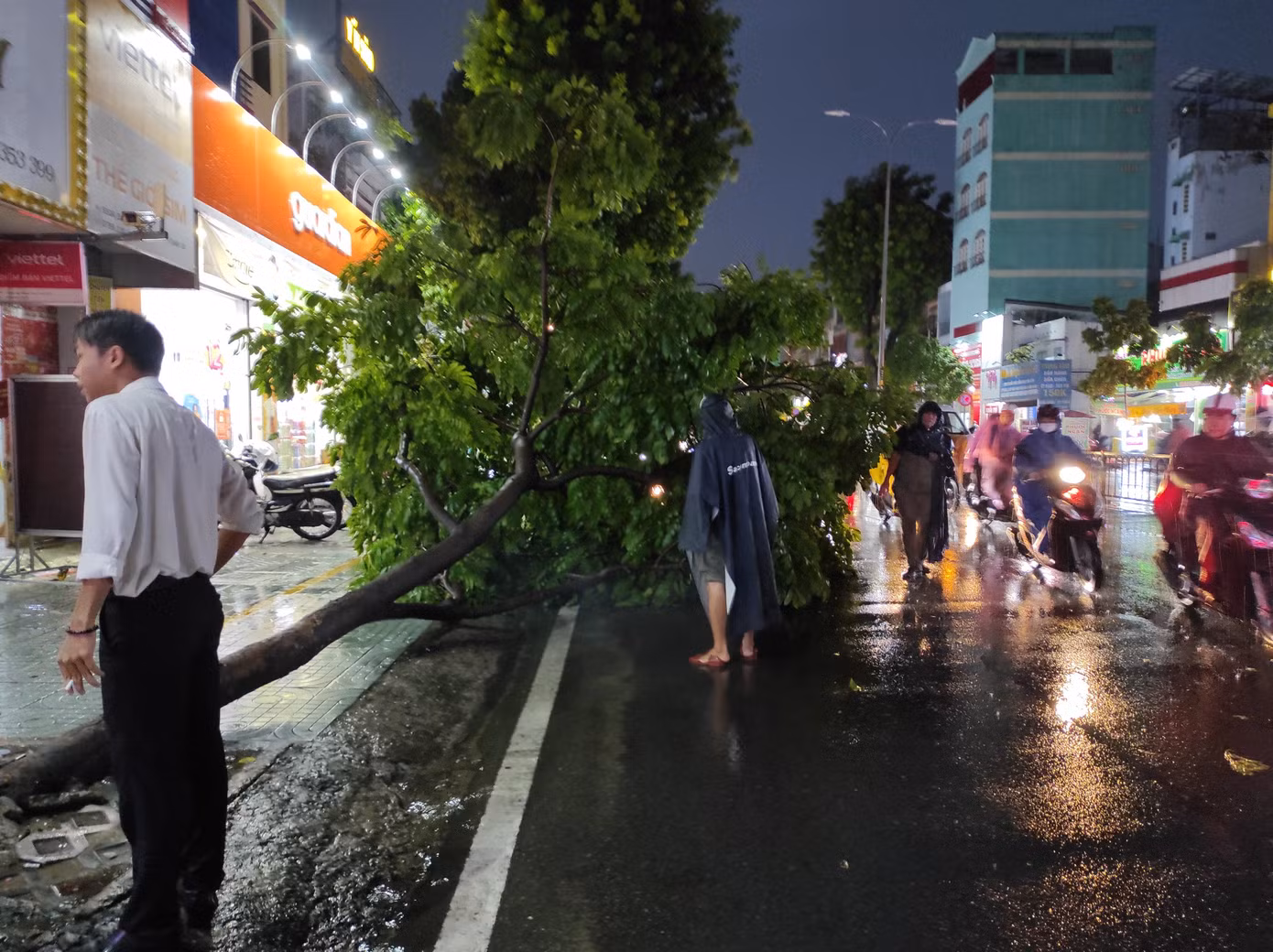 Trong cơn mưa dông, một cây xanh trên đường 3 tháng 2, quận 10 bị ngã đổ. Rất may sự cố không gây thiệt hại về người và tài sản.