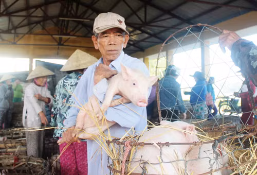Chợ bế heo 'độc nhất' xứ Quảng ảnh 2